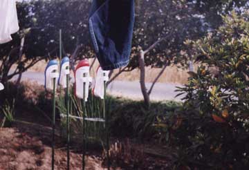 �y�j���͏㗚����􂤓�