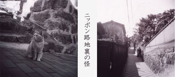 �j�b�|���H�n���̉�